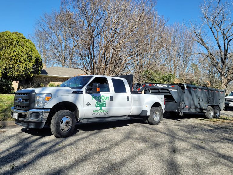tree service Greenville TX