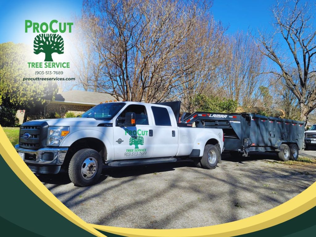 Lake Fork News A ProCut Tree Services work truck, prominently displaying the company's logo and contact information, is parked along a quiet residential street in East Texas. The vehicle is attached to a substantial covered Lamar trailer, poised for tree removal or landscaping work. In the sunlit background, bare branches of leafless trees frame single-family homes typical of this East Texas neighborhood, capturing a crisp but clear day in the region. Lake Fork, TX
