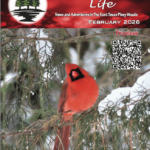 Lake Fork News Piney Woods Life, Feb 2026: Features a vivid red cardinal in East Texas pines, with red pine banner and QR code on the cover. Lake Fork, TX