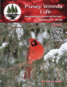 Lake Fork News Piney Woods Life, Feb 2026: Features a vivid red cardinal in East Texas pines, with red pine banner and QR code on the cover. Lake Fork, TX