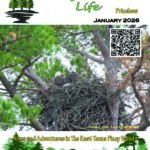 Lake Fork News January 2026 "Piney Woods Life" cover shows two bald eagles nesting in East Texas pines, lake scene, QR code, tagline. Lake Fork, TX