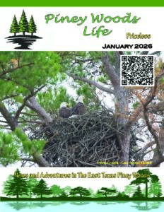 Lake Fork News January 2026 "Piney Woods Life" cover shows two bald eagles nesting in East Texas pines, lake scene, QR code, tagline. Lake Fork, TX