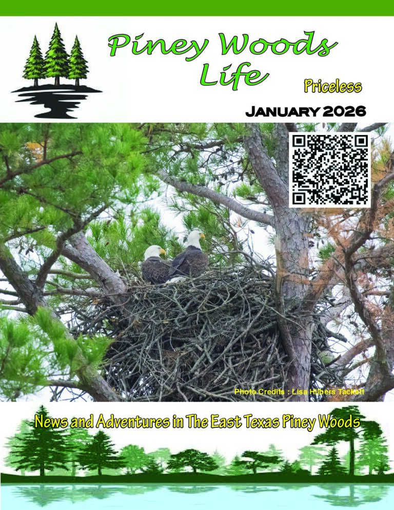 Lake Fork News January 2026 "Piney Woods Life" cover shows two bald eagles nesting in East Texas pines, lake scene, QR code, tagline. Lake Fork, TX